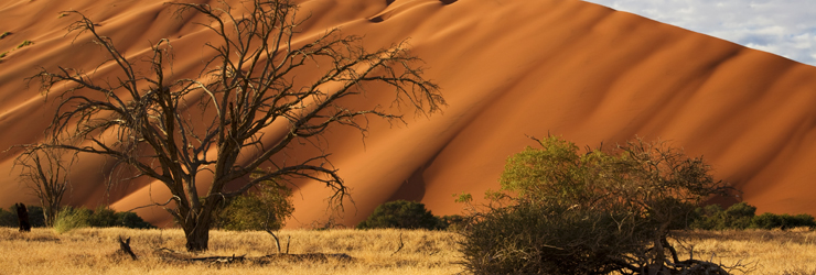 Sossusvlei, a highlight on this 7 day self-drive of Namibia