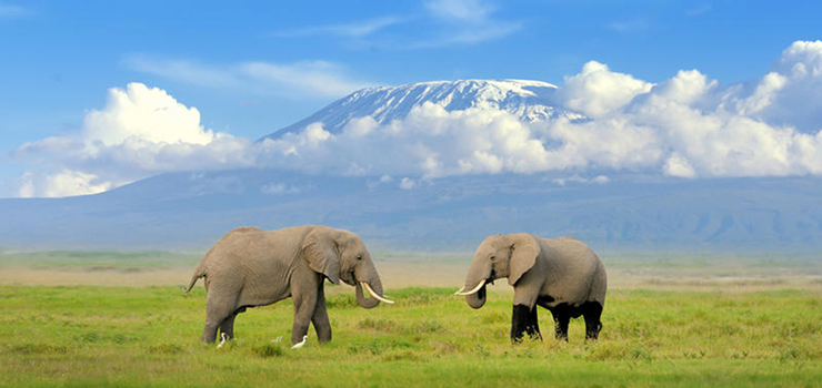 Africa's highest peak, Mount Kilimanjaro