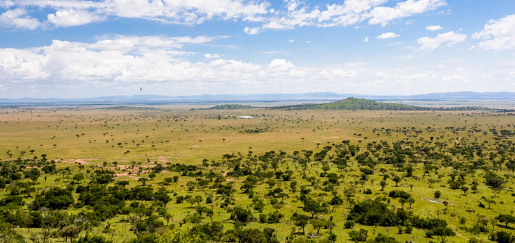Serengeti near Singita's Faru Faru Camp