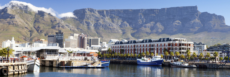 Best Time to Visit South Africa