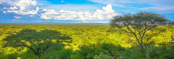 View from Tarangire Sangaiwe