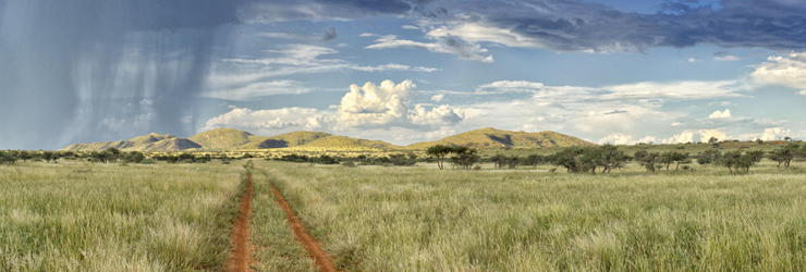 Tswalu Kalahari, your last experience in this 11-day journey