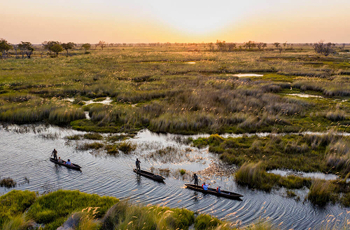 Mokoro excursion, Okavango Delta, Botswana