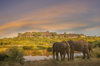 Water hole in front of Victoria Falls Safari Lodge