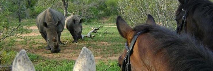 Horseback Safari, near Kruger Park, South Africa