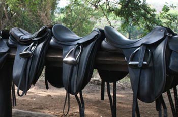 Saddles, Wait a Little Horseback Safaris, near Kruger Park, South Africa