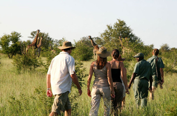 Walking Safari, Plains Camp, Kruger Park, South Africa