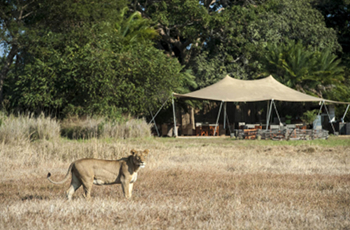 Busanga Bushcamp, Kafue, Zambia