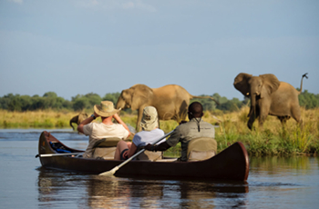 Canoe Safari from Chongwe River Camp, Lower Zambezi, Zambezi