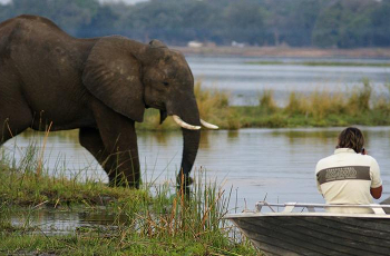 Boating Safari, Zambezi River, Zimbabwe