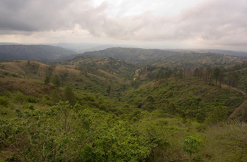 Rolling green hills in Zululand, South Africa
