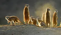The Karoo, South Africa