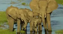 Sundowners in Africa – The Magic of an African Sunset