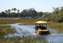 Okavango Delta, Fly In