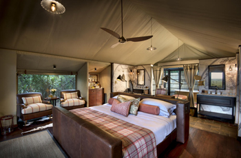 Tent Interior, Bateleur Camp