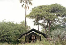 Tents at Camp Kalahari