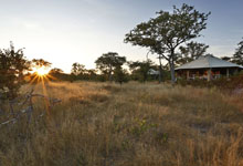 Camp Kuzuma, Botswana