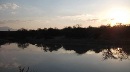 Kruger National park safari