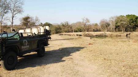 Safari in the Kruger National park