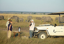 Game drive, Chobe Safari Lodge