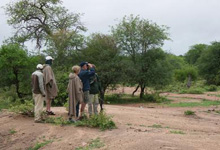 A 2 - 3 hr day walk conducted at Umlani Bushcamp, Timbavati