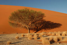 Namibia Tours Namibia Tours