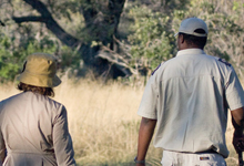 Guided walks, Eagle Island Camp 