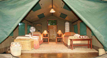 Luxury Safari Tent - Flatdogs Camp Luxury Safari Tent - Flatdogs Camp