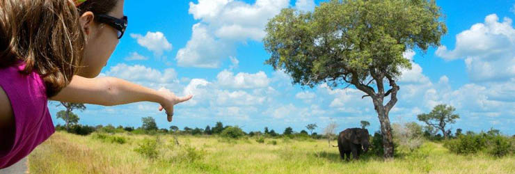 Game Viewing, Kruger National Park