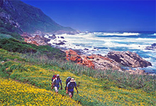 Hiking from Hunters Country House, Garden Route