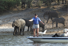 Fly fishing at Ichingo Chobe River Lodge