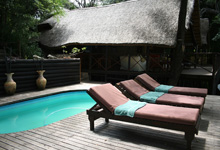 Swimming pool at Ichingo Chobe River Lodge Swimming pool at Ichingo Chobe River Lodge