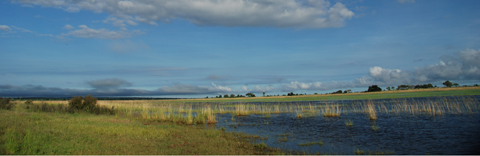 Flood plains at Ichingo Chobe River Lodge