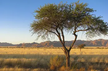 Namibia offers vast and varying desert landscapes