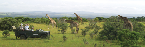 Kariega Game Reserve, Eastern Cape Kariega Game Reserve, Eastern Cape