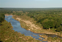 Londolozi Game Reserve adjacent to Kruger National Park