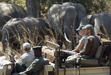Game drive, Luangwa River Camp, Zambia Game drive, Luangwa River Camp, Zambia