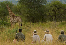 Morokolo Game Lodge