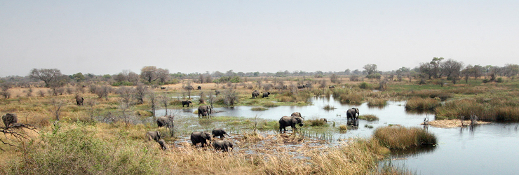 Elephants seen from Nkasa Lupala Tented Lodge