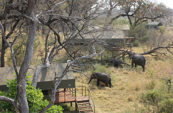 View of tents at Nkasa Lupala Tented Lodge