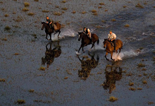 Horse safaris, Okavango Delta Horse safaris, Okavango Delta