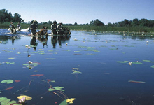 Horseback safari in Botswana Horseback safari in Botswana