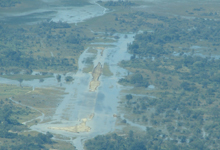 Floods in the Okavango