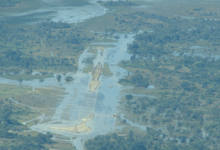 Floods in the Okavango Floods in the Okavango