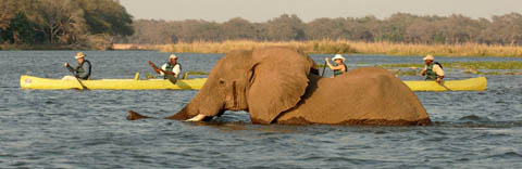 Old Mondoro, Lower Zambezi Old Mondoro, Lower Zambezi