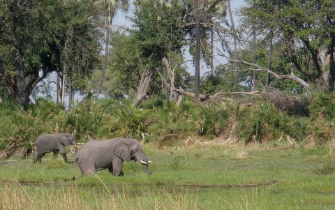 Botswana