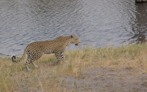 Botswana