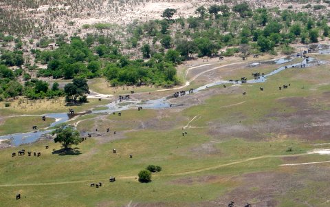 Botswana