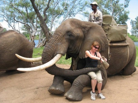 Elephant experience, Livingstone - Zambia