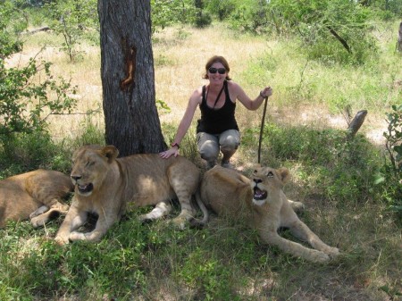 Lion encounter, Zambia